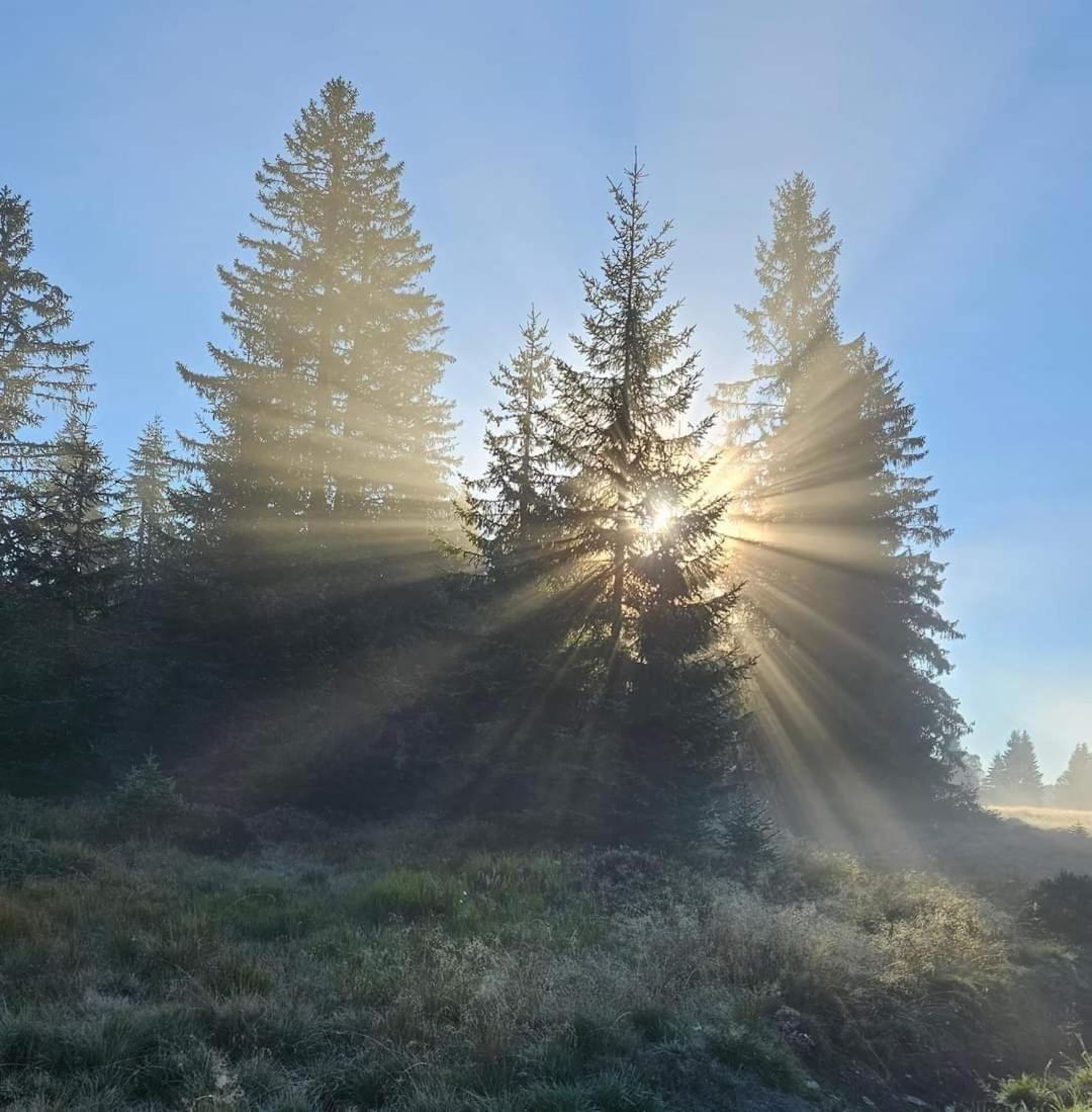 Ubytovani U Krizku Modrava Luaran gambar