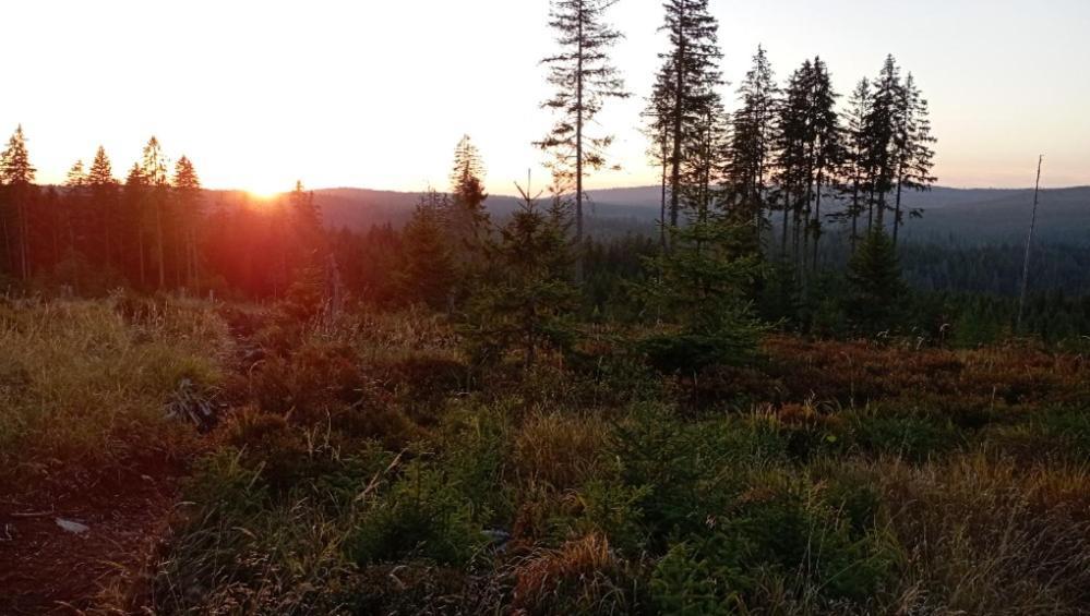Ubytovani U Krizku Modrava Luaran gambar